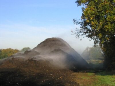 Composting in the City: The Good and the Rotten Image